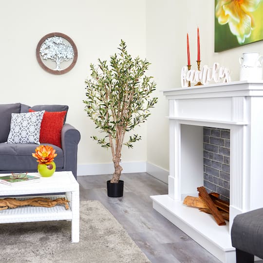 5ft. Potted Olive Tree